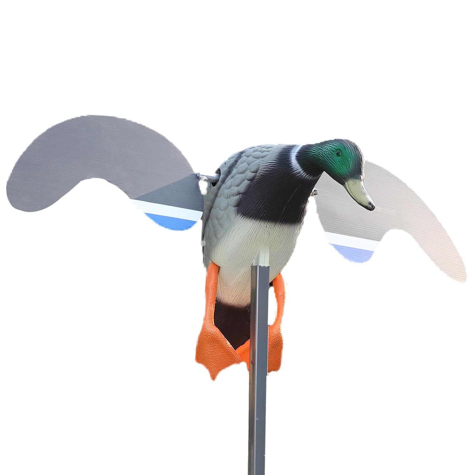 Cifavor Duck Decoys Rotary Hunting for Duck Hunting Bait is Both Faster & More Smooth，New Upgraded Decoys Realistic Material
